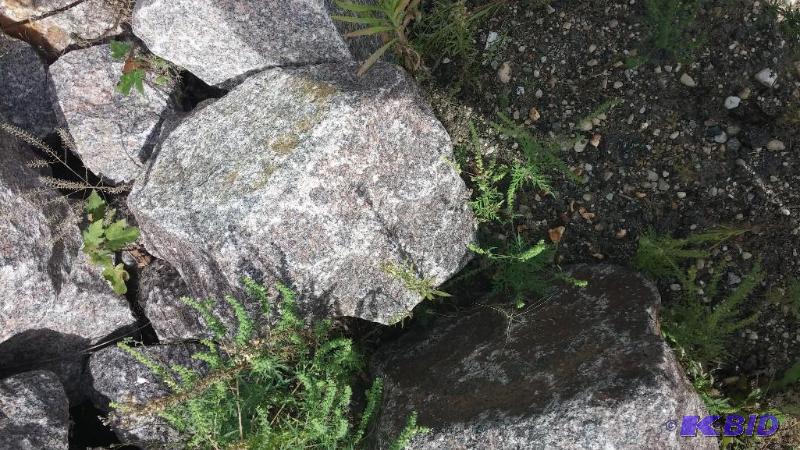 Large Granite Stone