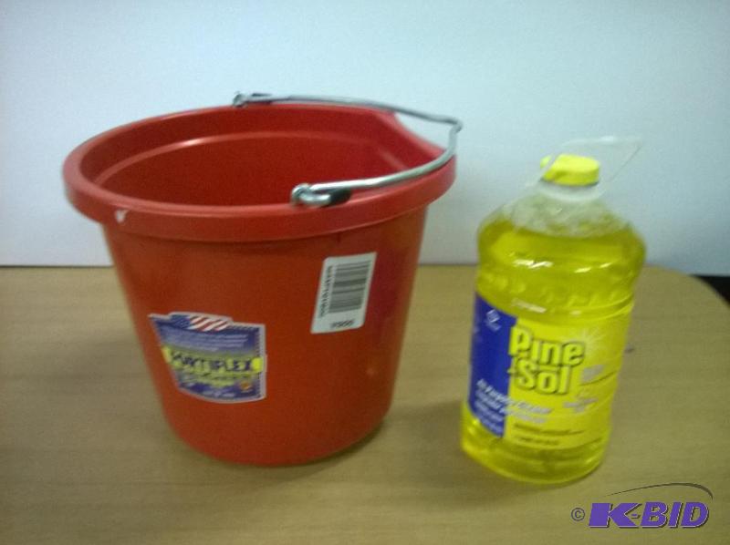 lot 38 image: 1.12 Gallon Pine-sol & 5 Gallon Bucket