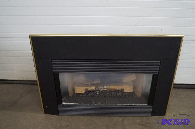 Fireplace insert