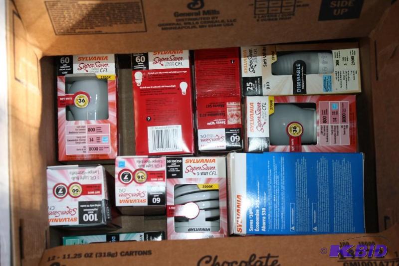 Box Lot of (11) Miscellaneous Wattage Light B...