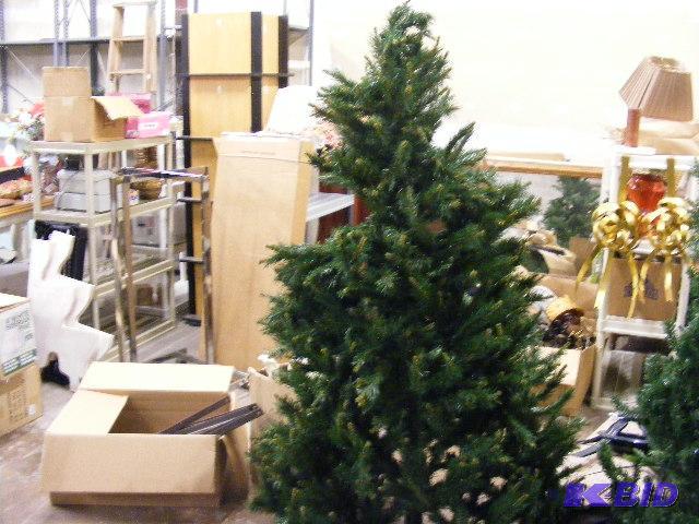 7 Jersey Pine Christmas Tree....