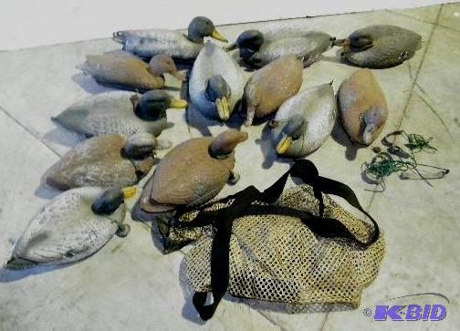 Twelve Decoys In a Bag - All have weights - F...