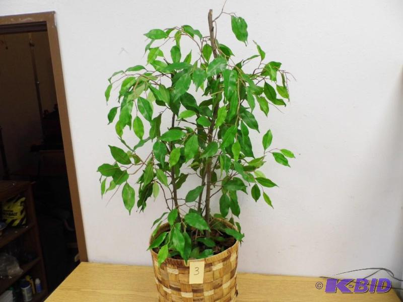 Artificial Ficus Tree