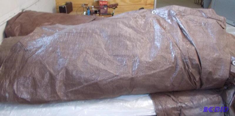 Tarp
