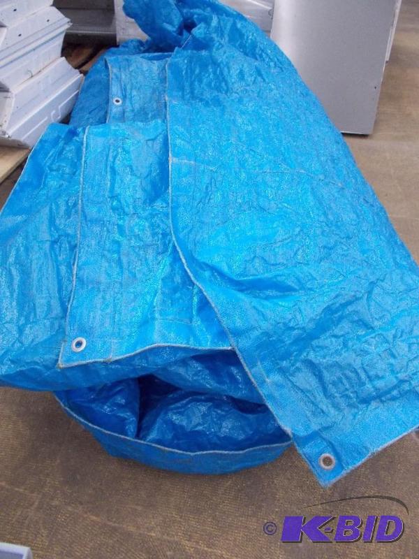 Tarp