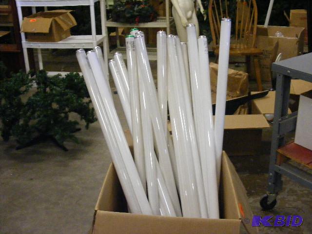 Fluorescent light bulbs, 19 48 bulbs and 1 ...