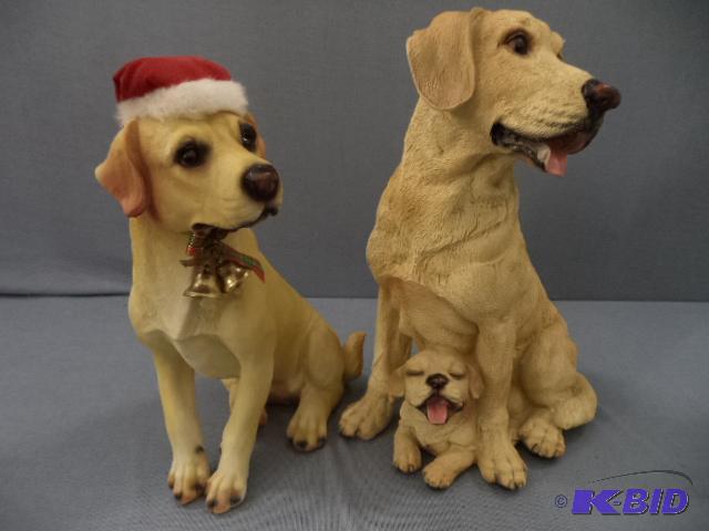 Yellow Labs
