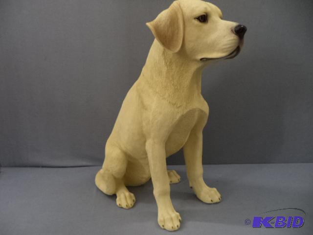 Yellow Lab