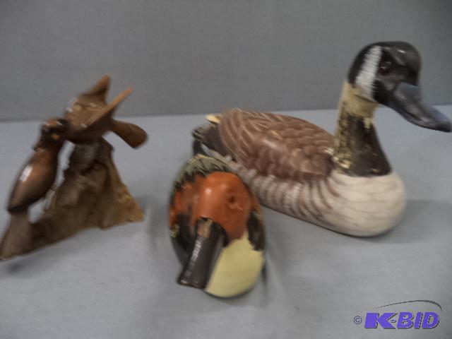 Ducks and Birds
