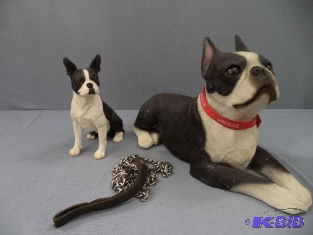 Boston Terriers