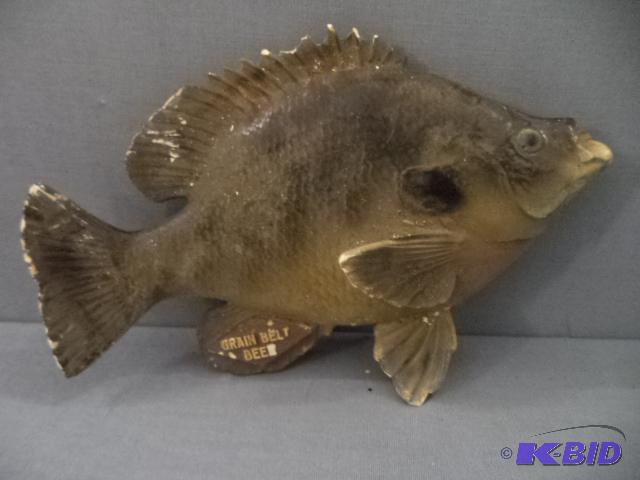 Grainbelt Plaster Fish