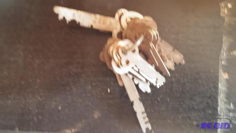 Set of Vintage Skelton Keys...