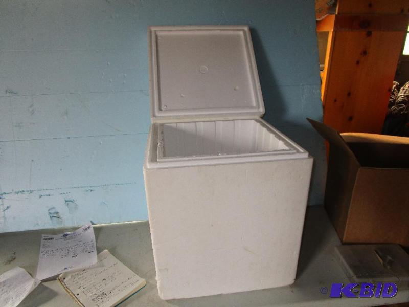 Foam Cooler