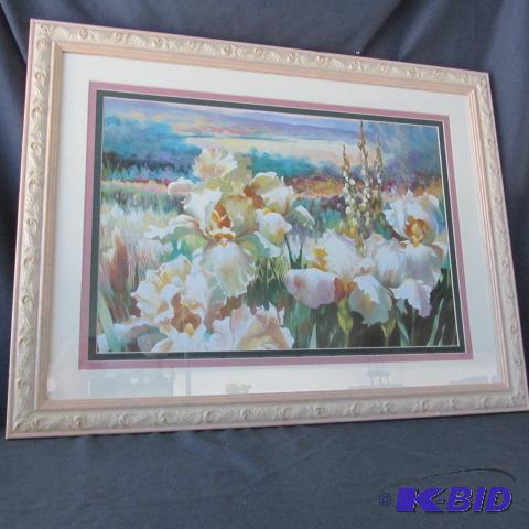 Bearded Iris Print
