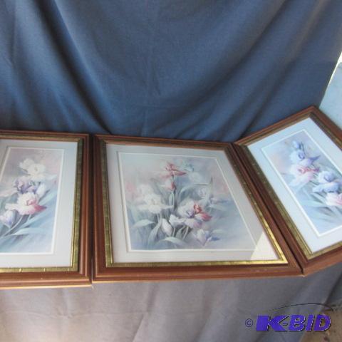 Bearded Iris Prints