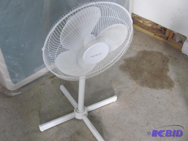 Floor Fan