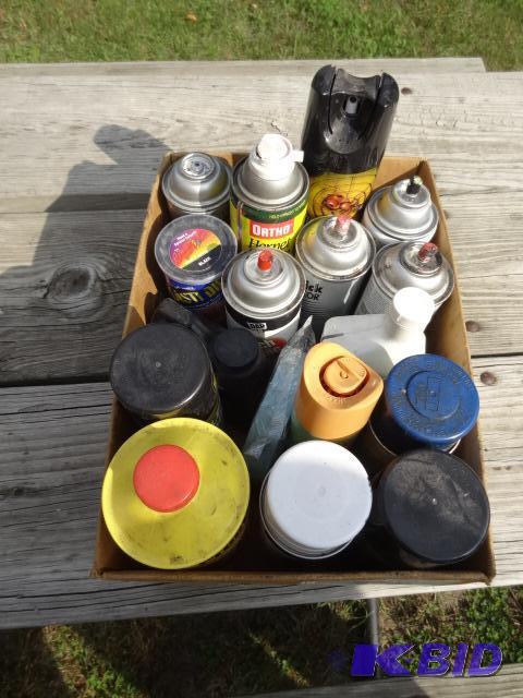 lot 256 image: Misc paint. Auto chemicals. Bug spray...