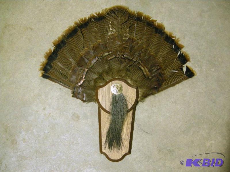 lot 60 image: Turkey feather wall hanger