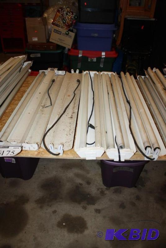 lot 175 image: Lot of (6) Lighting Items Lifelite Fluoresce...
