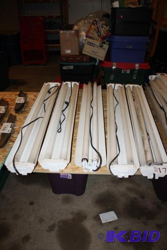 lot 176 image: Lot of (6) Lighting Items Lifelite Fluoresce...