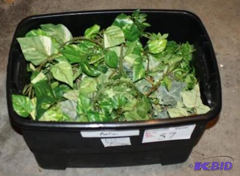 lot 57 image: Bin Lot of Miscellaneous Fake Plants....