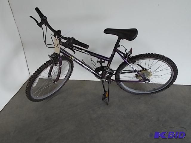 lot 3 image: Roadmaster 24" Mt. Climber Sport, 12 Spe...