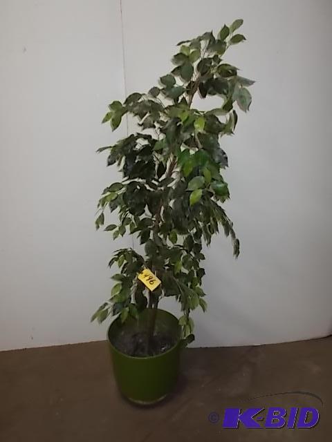 lot 496 image: 5 12 Faux Tree...