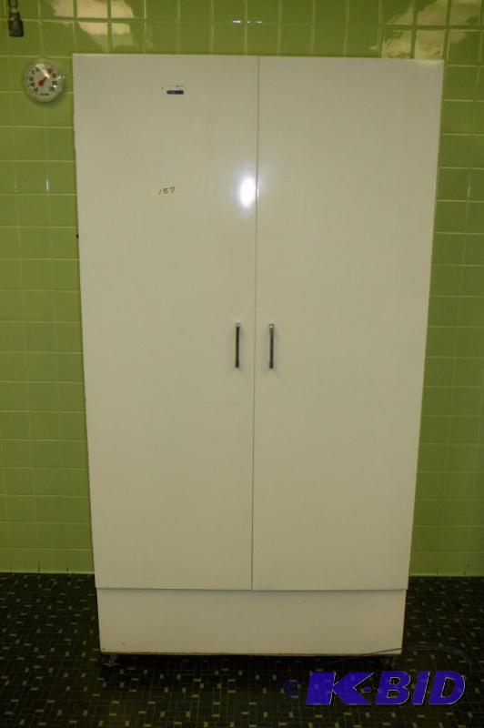 lot 157 image: 2 door metal cabinet on casters with shelves ...