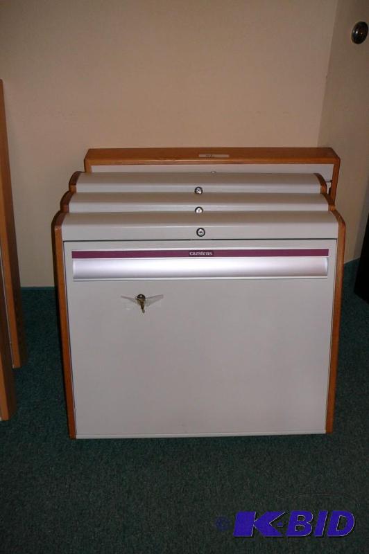 lot 42 image: 4&nbspCarstens Wallaroos 25&quotT x 28-12...