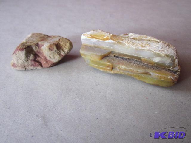 lot 32 image: Petrified wood and other stone. ...