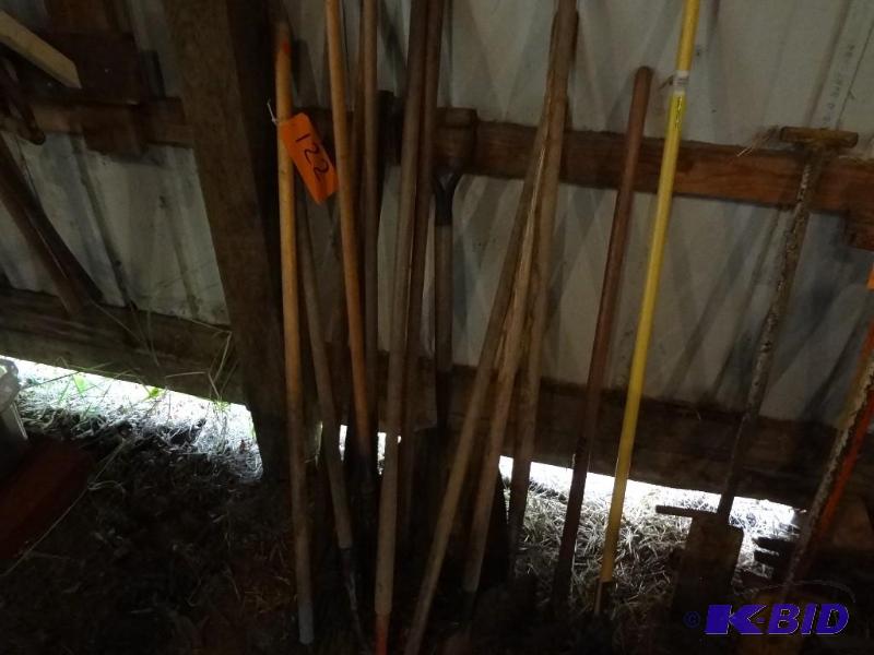 Lot of Hoes, Edgers, Rakes...