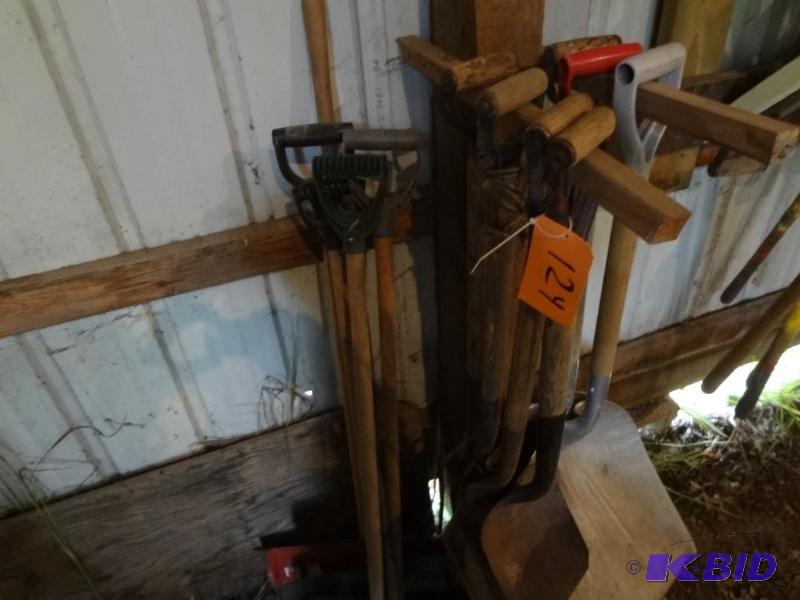 Lot of Shovels, 13 approx...