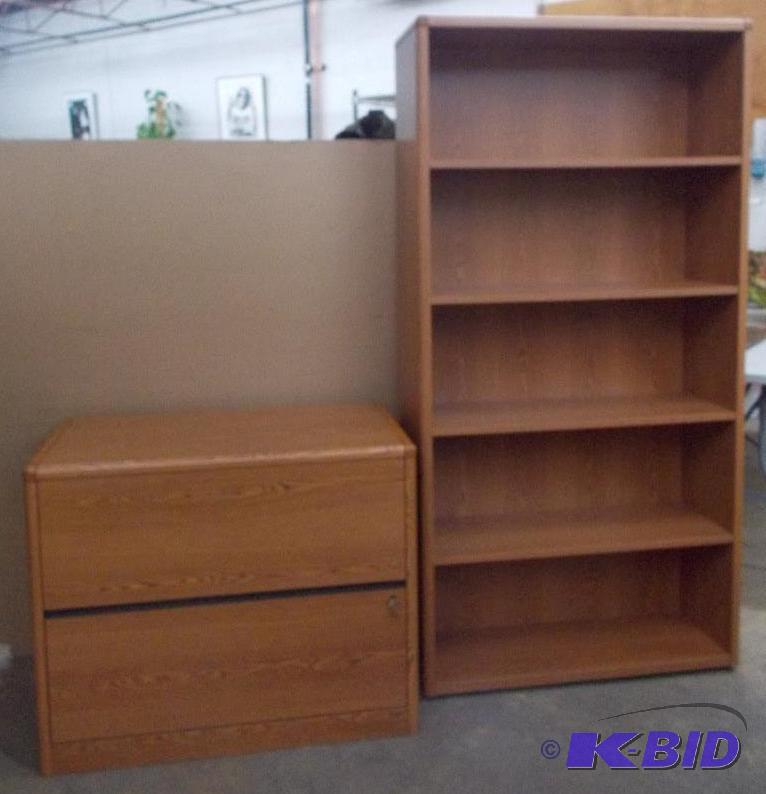 Bookhelf and File Cabinet