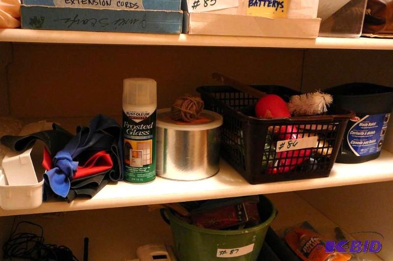 Lot of scrub brushes , small garbage , nails ...