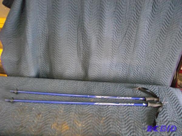 (2) Fizan Winter Ski Poles...