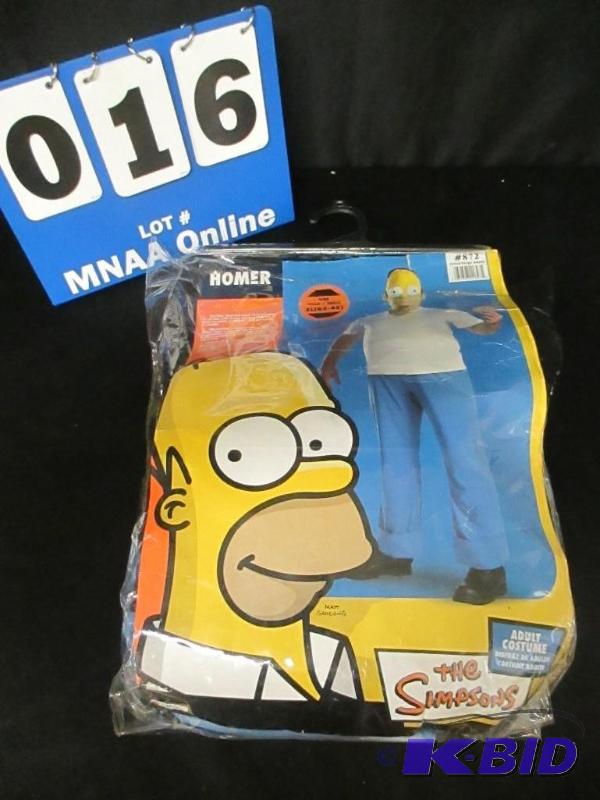 Homer costume
