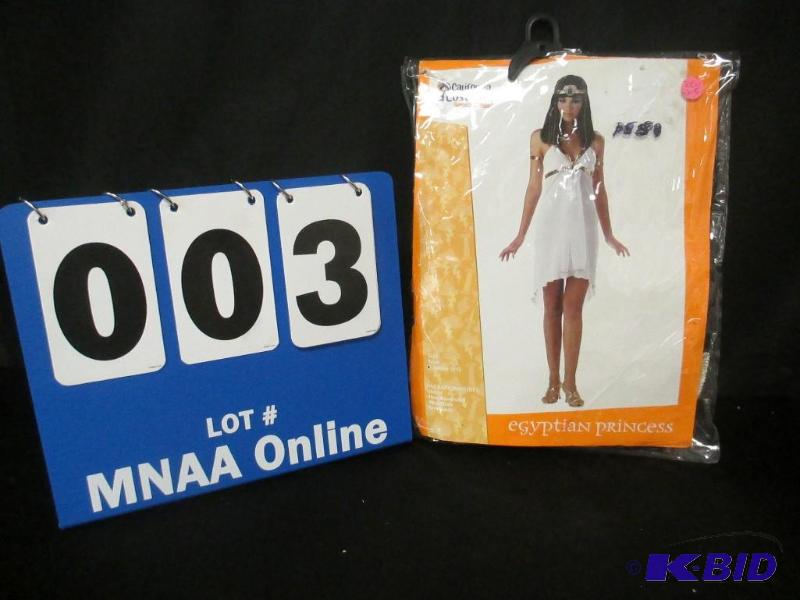 Egyptian Princess Costume