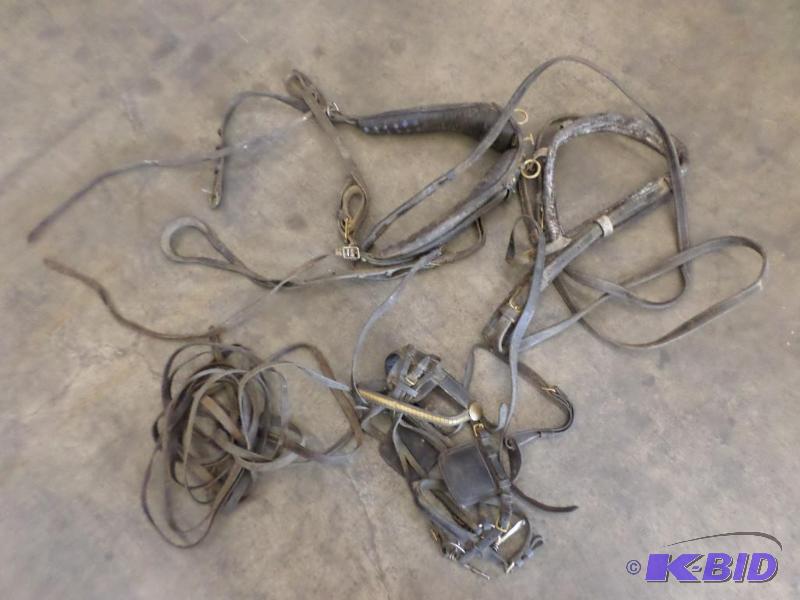 lot 19 image: Lot Of Vintage Horse Bridals...