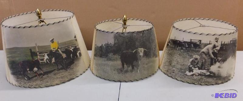 Lamp Shades