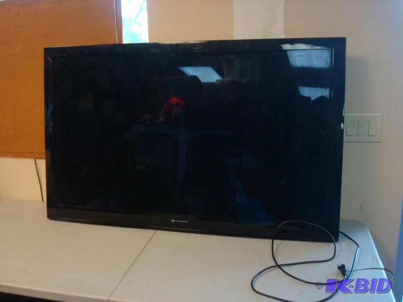 Large Element 55&quot Flat Screen TV DOES NO...