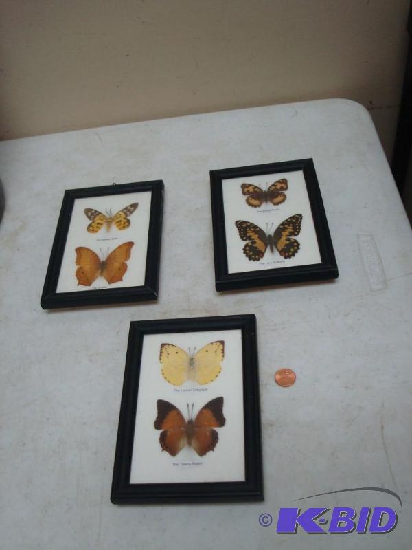 Lot Of &nbspFramed Real Butterflies...