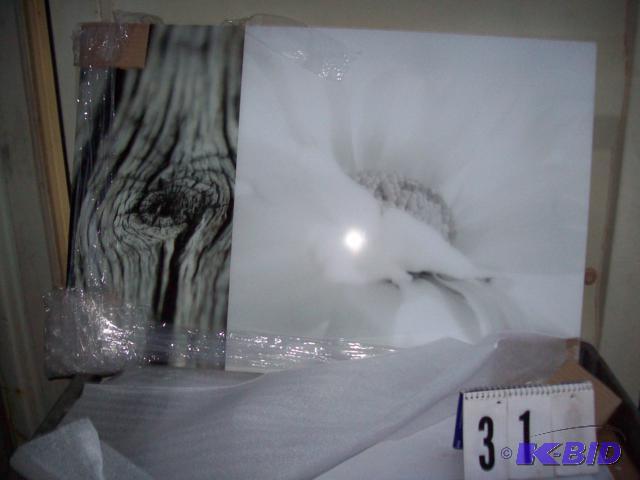 Acrylic Picture, 24&quot x 36&quot Needs Fr...