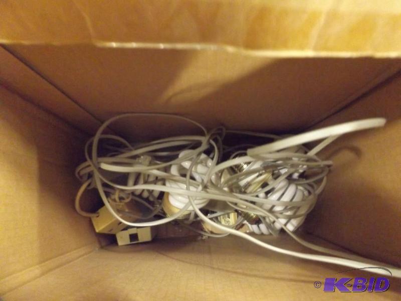 telephone wires and extension cords...