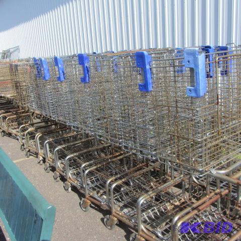 lot 172 image: Shopping Carts
