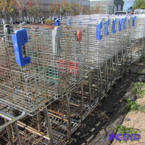 lot 173 image: Shopping Carts