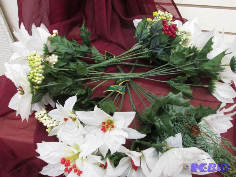 White poinsettia flowers...