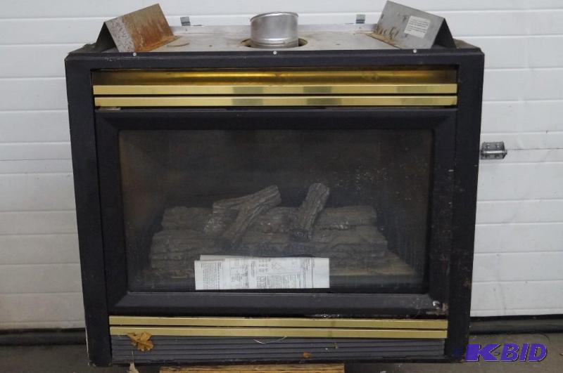 Fireplace Insert