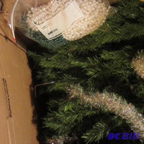 Sequoia Fir Tree