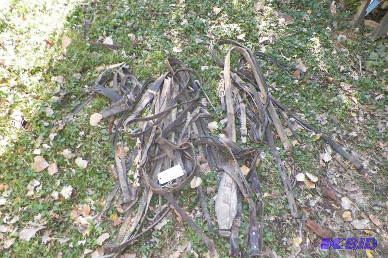 lot 317 image: Lot of Horse Items