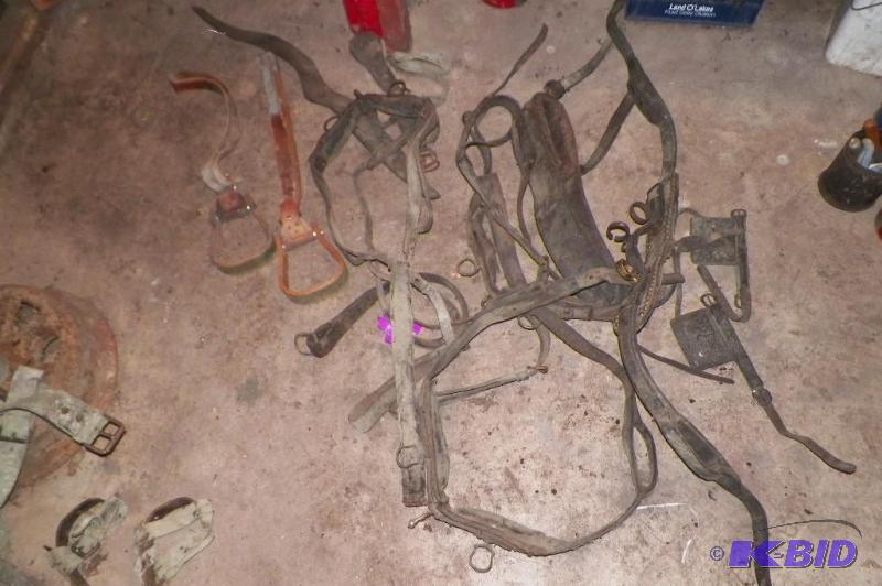 lot 36 image: All horse items shown